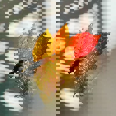 Autumn Leaf Hair Clip | Claw Clip Hair Accessories