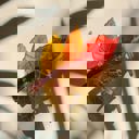  Autumn Leaf Hair Clip | Claw Clip Hair Accessories