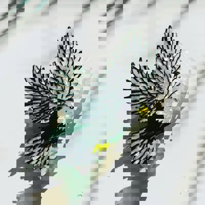 Eagle Hair Claw | Claw Clip Hair Accessories