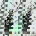  Eagle Hair Claw | Claw Clip Hair Accessories