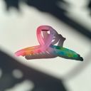  The Rainbow in Cursive Hair Claw