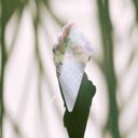  Ice Cream Cone in Frosty Blue Hair Claw | Claw Clip Hair Accessories