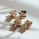  Mini Kitty Claw Set of 4 | Hair Claw Clip Hair Accessories