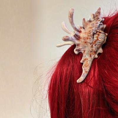 Realistic Conch Shell Hair Claw in Natural Brown and White | Claw Clip Hair Accessories