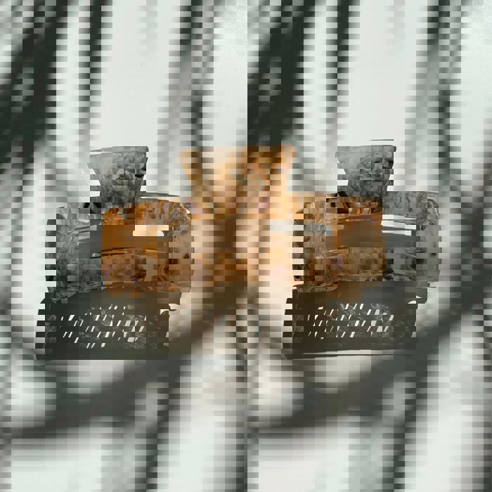 Rectangular Mini Claw in Iced Latté | Claw Clip Hair Accessories