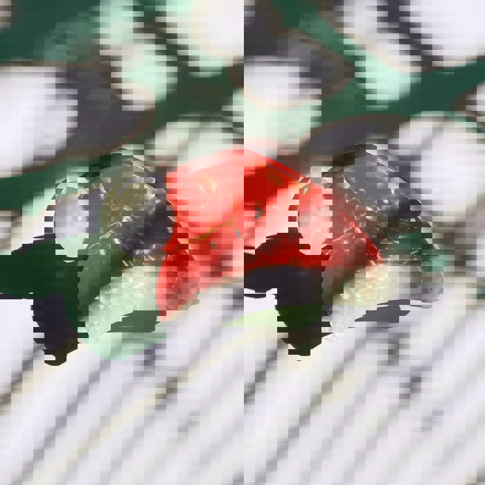 Santa Hat Holiday Hair Claw | Claw Clip Hair Accessories