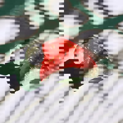 Santa Hat Holiday Hair Claw | Claw Clip Hair Accessories