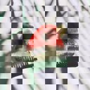  Santa Hat Holiday Hair Claw | Claw Clip Hair Accessories