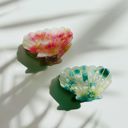  Seashell Claw Set of 2: Aqua and Coral | Hair Claw Clip Hair Accessories
