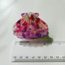  Seashell Claw Set of 2: Pearl and Purple | Hair Claw Clip Hair Accessories