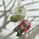  Seashell Claw Set of 2: Pearl and Purple | Hair Claw Clip Hair Accessories