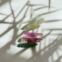  Seashell Claw Set of 2: Pearl and Purple | Hair Claw Clip Hair Accessories