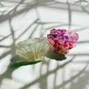  Seashell Claw Set of 2: Pearl and Purple | Hair Claw Clip Hair Accessories