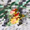  Shaped Reindeer with Red Antlers Hair Clip | Claw Clip Hair Accessories