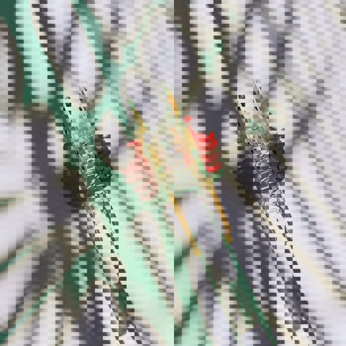 Shaped Reindeer with Red Antlers Hair Clip | Claw Clip Hair Accessories