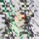  Shaped Reindeer with Red Antlers Hair Clip | Claw Clip Hair Accessories