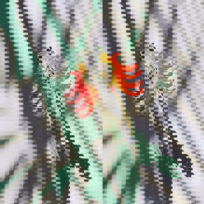 Shaped Reindeer with Red Antlers Hair Clip | Claw Clip Hair Accessories