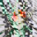  Shaped Reindeer with Red Antlers Hair Clip | Claw Clip Hair Accessories