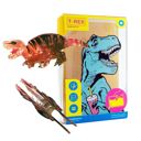  T-Rex Hair Claw and T-Rex Flask Style Pop Art Water Bottle Bundle