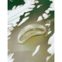  The Bean Hair Claw in Crystal | Claw Clip Hair Accessories