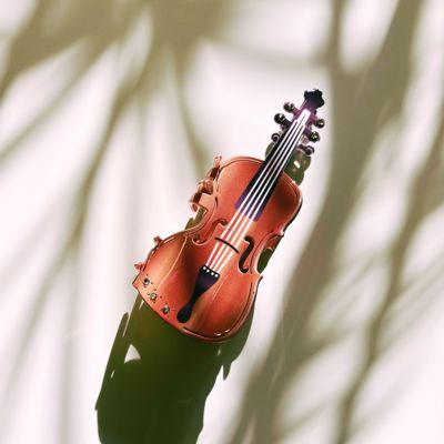Violin Hair Claw | Music Lover Claw Clip Hair Accessories