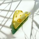  Wedge of Cheese Hair Claw | Claw Clip Hair Accessories