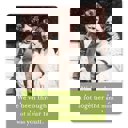 We've Been Through A Lot Together, And Most Of It Was Your Fault Retro Ladies Funny Fridge Magnets | Gift Stocking Stuffer 1950s Quotes Refrigerator Flexible Magnets