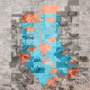  Woke Up Fine As Hell Socks in Blue | Orange Juice Illustration