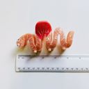  Would You Love Me if I Was a Worm? Hair Claw | Claw Clip Hair Accessories