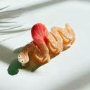  Would You Love Me if I Was a Worm? Hair Claw | Claw Clip Hair Accessories