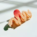  Would You Love Me if I Was a Worm? Hair Claw | Claw Clip Hair Accessories
