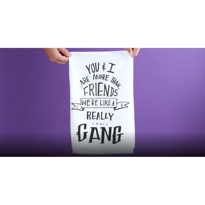 You & I Are More Than Friends, We're Like a Really Small Gang Towel and Other Funny Cute Gift Dish Tea Towels