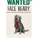  Your Just What I Wanted Face Dog Kitchen Towel | Hand Dish Cloth | 18" x 26"