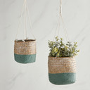  Set of 4 Seagrass Hanging Basket Set, Medium, Green & Natural