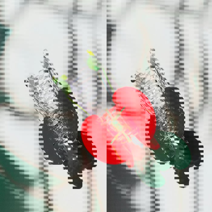 Cherries on Stem Mini Hair Claw