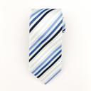 9-Thin Blue Personalized Picture Ties for Men