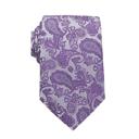 27-Purple Paisley Personalized Picture Ties for Men