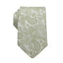 31-Sage Paisley  Personalized Picture Ties for Men