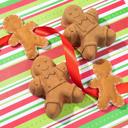  3 Pack Freshly Baked Gingerbread Bath Bomb