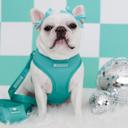  Duo Reversible Dog Harness