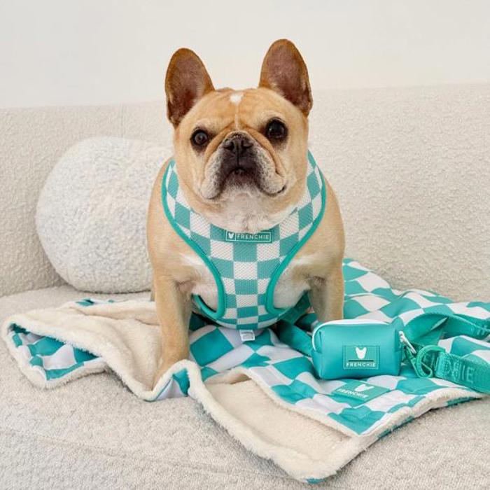 Duo Reversible Dog Harness