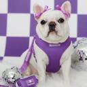  Duo Reversible Dog Harness