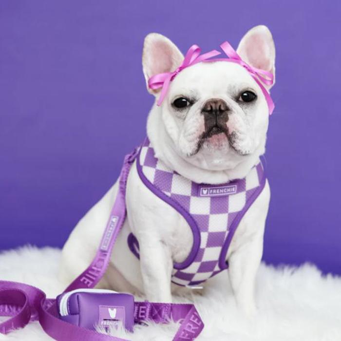 Duo Reversible Dog Harness