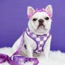  Duo Reversible Dog Harness