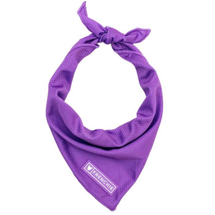 Cooling Dog Bandana