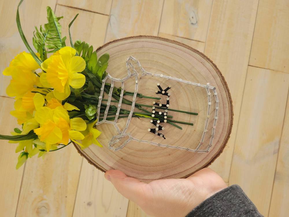 DIY String Art Milk Jug Kit, Home Décor, Relaxing Craft, wall hanging, shelf art. Gift Idea! Mother's Day, Gift's for her. Farmhouse Decor.