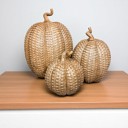  Neutral Fall Home Decor, Handmade Resin Pumpkin Set | Rattan Halloween and Autumn Decorations