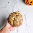 Neutral Fall Home Decor, Handmade Resin Pumpkin Set | Rattan Halloween and Autumn Decorations