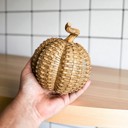 Small Pumpkin Neutral Fall Home Decor, Handmade Resin Pumpkin Set | Rattan Halloween and Autumn Decorations
