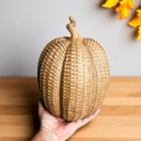  Neutral Fall Home Decor, Handmade Resin Pumpkin Set | Rattan Halloween and Autumn Decorations